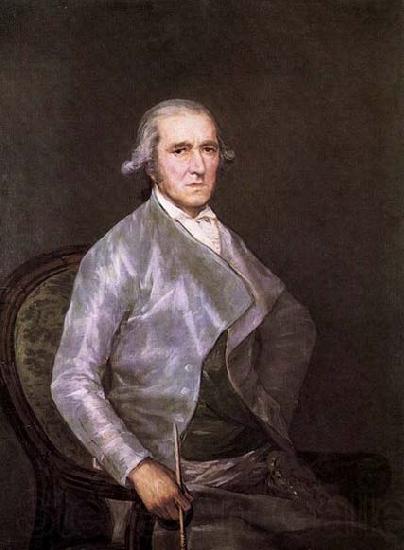 Francisco de goya y Lucientes Portrait of Francisco Bayeu